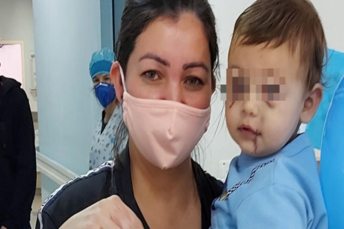 Unico Bebe Que Sobreviveu A Ataque De Cheche De Sc Recebe Alta Hospitalar Meionorte Com