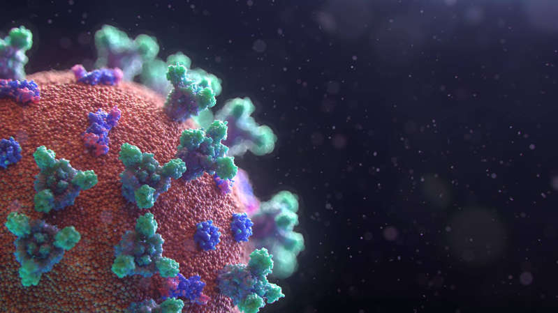 Cientistas investigam se enxistem pessoas imunes à Covid-19 (Foto: Unplash)