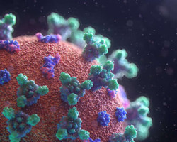 Existem pessoas superimunes ao coronavírus? Cientistas investigam