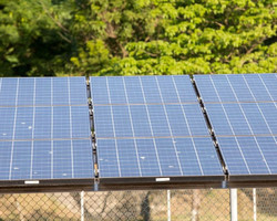 Miniusina de Energia Solar poderá empregar 16% do município de Coivaras