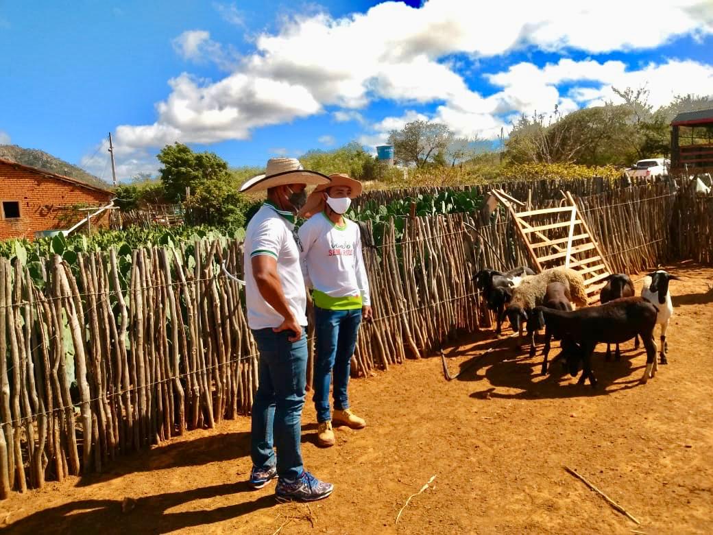 Famílias são contempladas com caprinos e ovinos no Semiárido