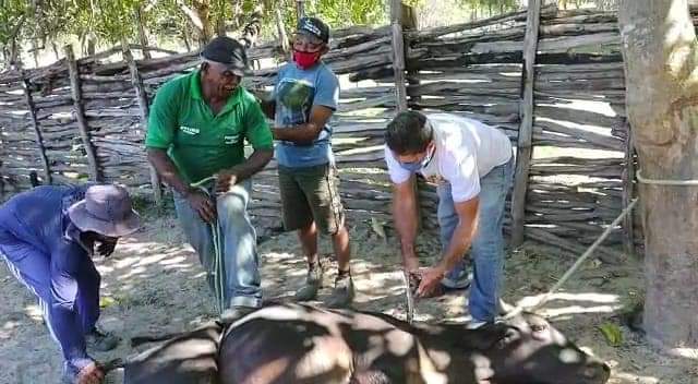 Prefeitura de Monsenhor Gil atuando ao lado do homem do Campo - Vimarsana News