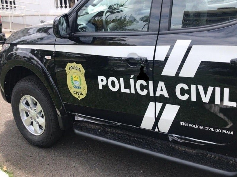 Polícia Civil do Piauí (Foto: Reprodução)