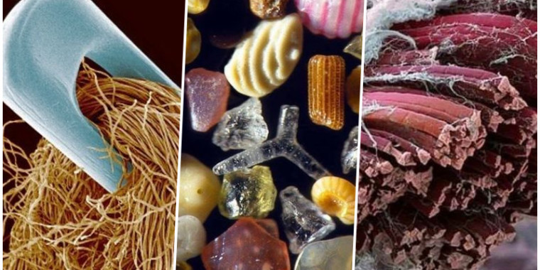17 coisas que ficam impressionantes quando vistas no microscópio