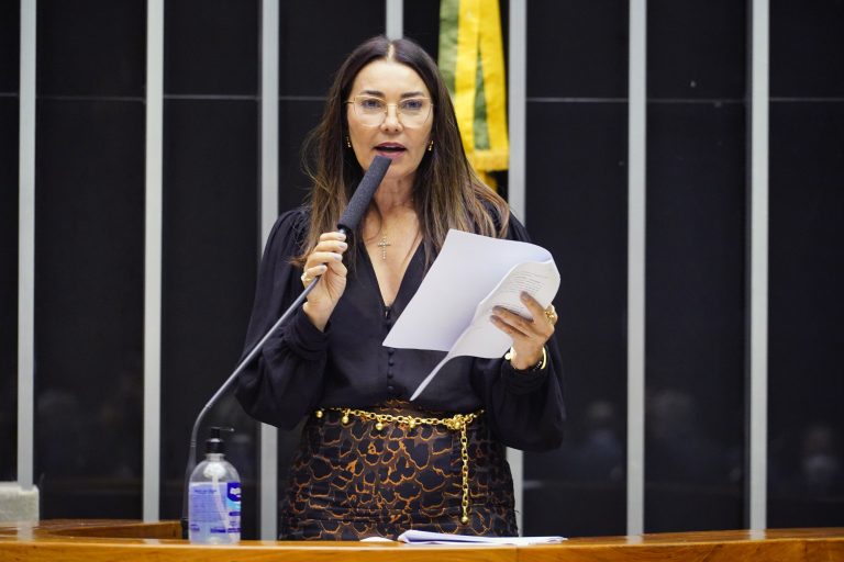 Margarete nega que o código fragilize a fiscalização (Foto: Agência Câmara)