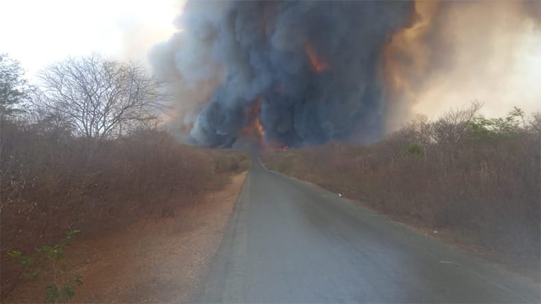 Incêndio causa preocupação em Curimatá 