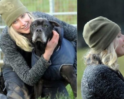 Mulher abre asilo animal para cuidar de pets idosos em fase terminal