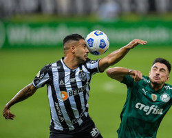 Palmeiras enfrenta hoje o Atlético-MG por vaga decisiva na Libertadores