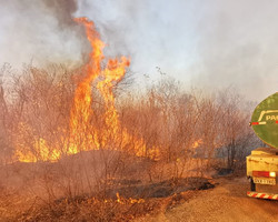Incêndio de grandes proporções ameaça Parque da Serra da Capivara; vídeos!