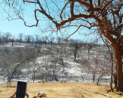 Serra da Capivara: Cinco famílias perdem casas durante incêndios; fotos