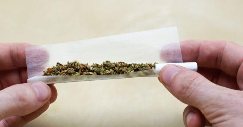 Efeitos nocivos provocados pela cannabis serve de alerta. (Foto: Reprodução)