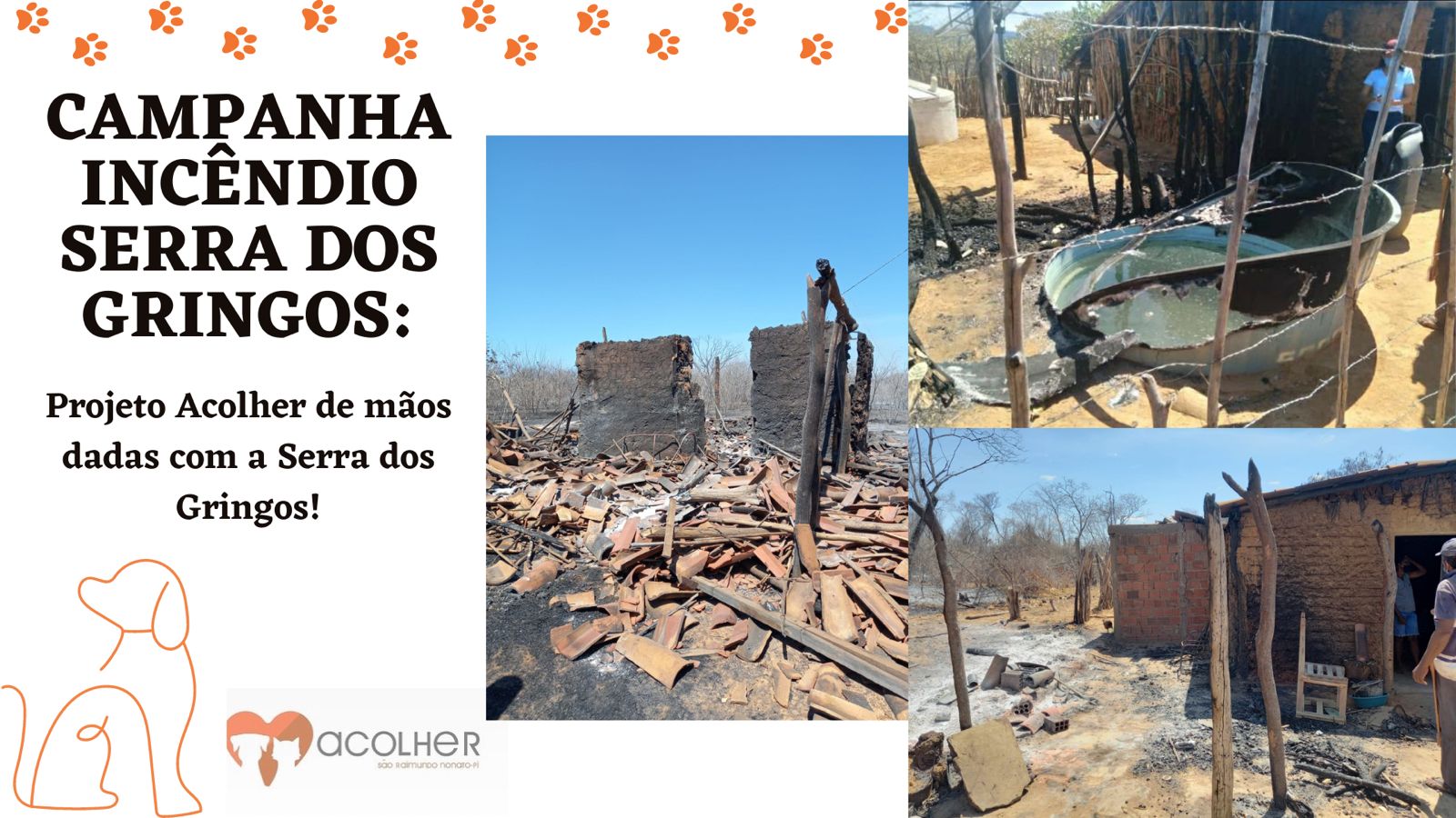 Serra da Capivara: Campanha arrecada doações para afetados pelos incêndios (Foto: Divulgação)