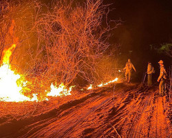 Serra da Capivara: Incêndio é controlado na região, mas novos focos surgem