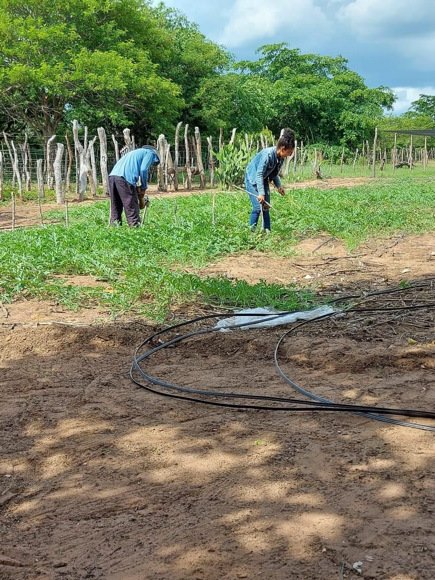 Agricultura familiar vai ser impulsionada com kits de irrigação 