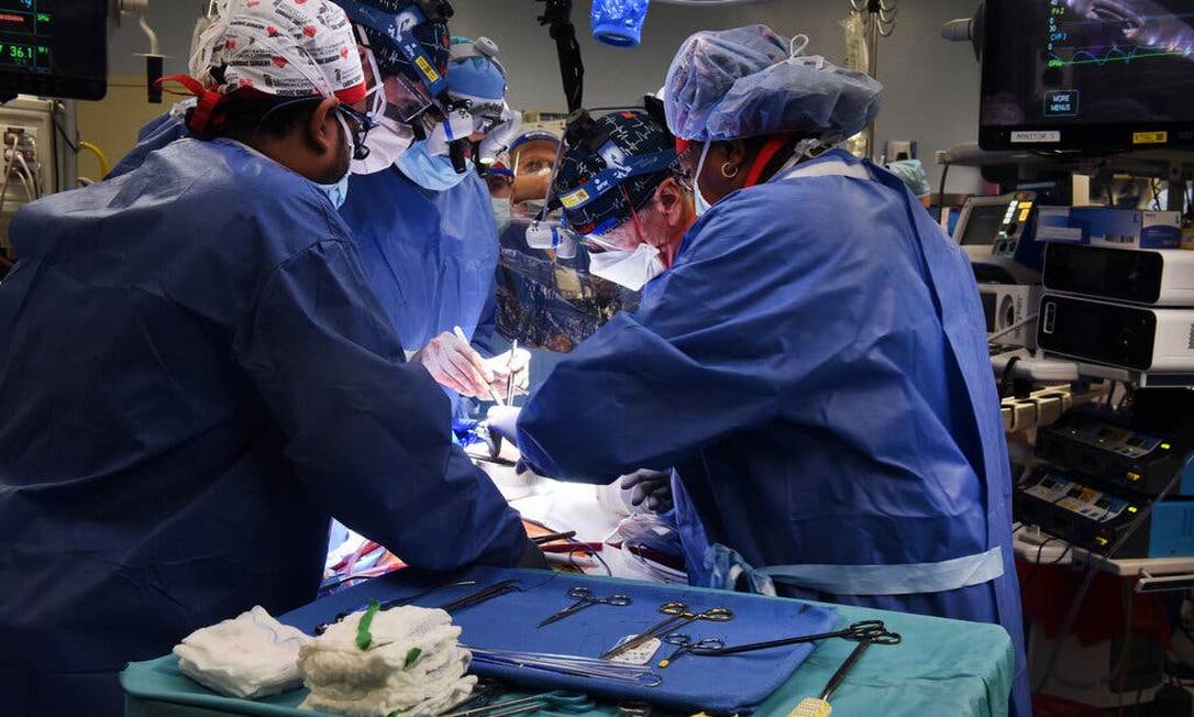 Operação inédita transplantou coração de porco geneticamente modificado para um homem nos EUA Foto: Faculdade de Medicina da Universidade de Maryland 