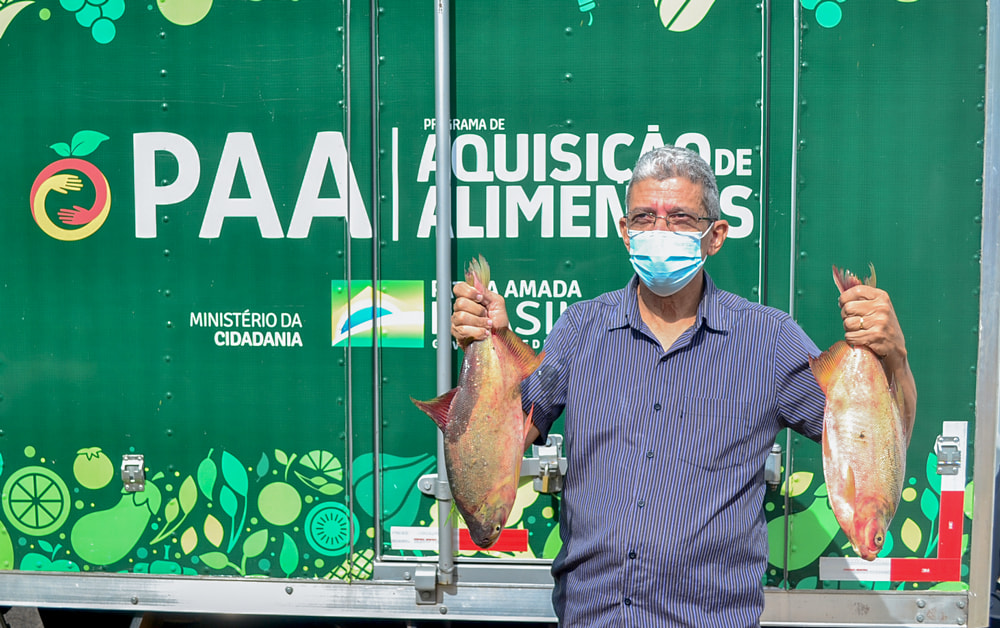 Prefeitura Municipal realiza entrega de 2 toneladas de peixes - Imagem 4