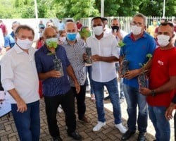 Merlong Solano entrega 24 mil mudas de caju do território Serra da Capivara