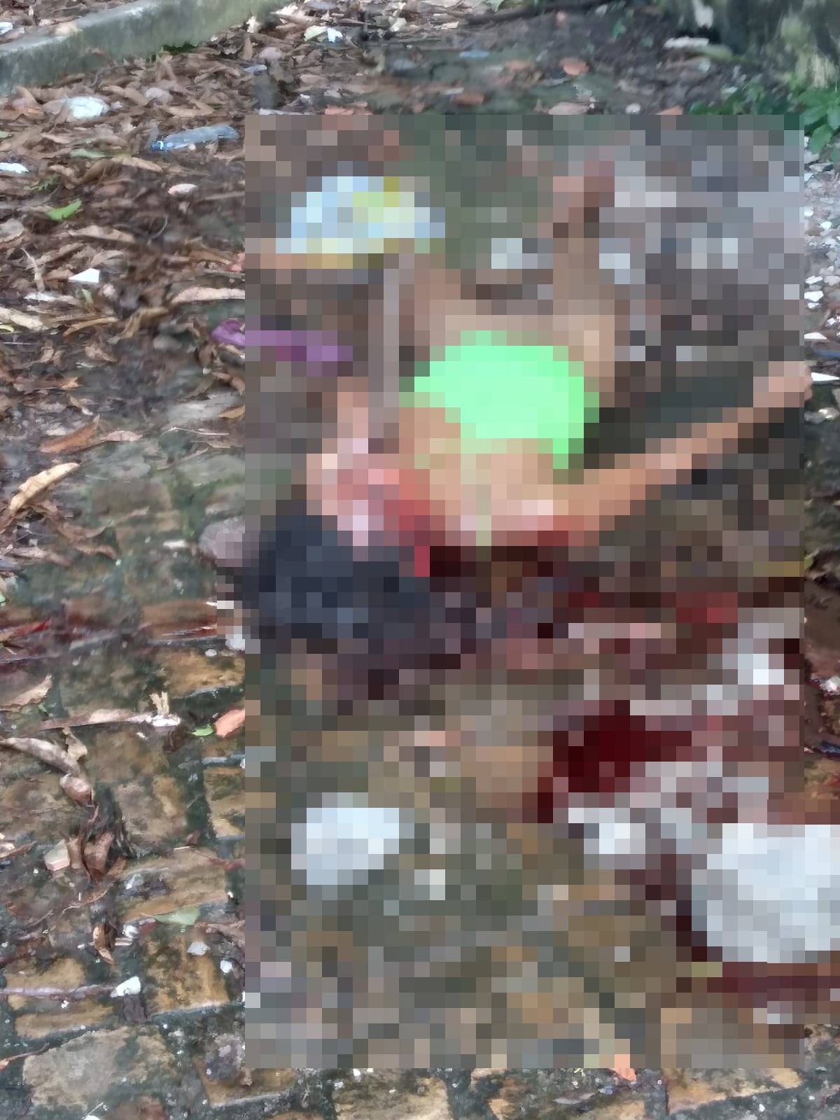 Paulinha foi morta a pedradas e facadas em Timon - Foto: Reprodução