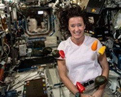 Nasa oferece US$ 1 milhão por alimento inovador para astronautas