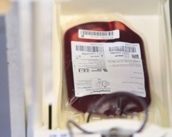 Saúde e Anvisa atualizam regras para doação de sangue durante pandemia