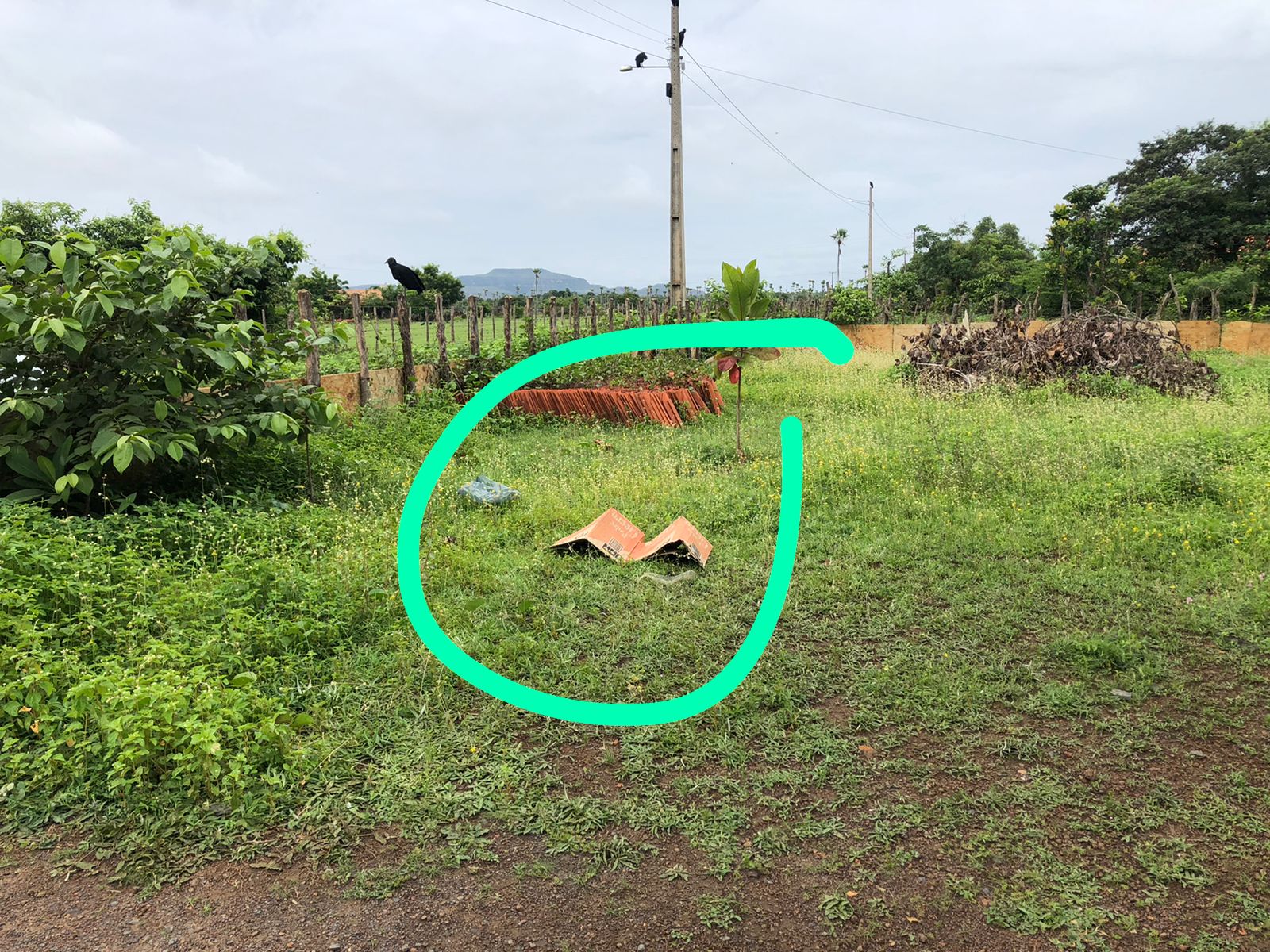 Feto é encontrado em terreno na zona rural de Campo Maior - Foto: Divulgação/PM