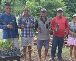 Prefeitura de Joaquim Pires entrega 4.000 mudas de caju aos agricultores