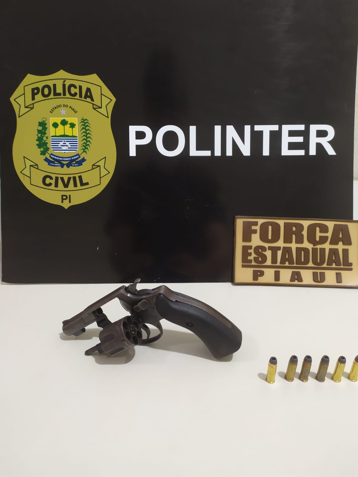 Arma foi apreendida durante cumprimento dos mandados - Foto: Divulgação/SSP-PI