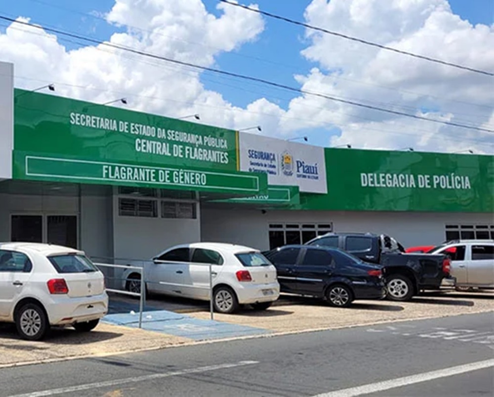 Suspeito de abusar de garota por 12 anos é detido na zona sudeste de THE - Foto: Reprodução