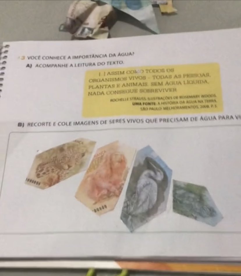 Criança recorta dinheiro para tarefa de casa (Foto reprodução vídeo)