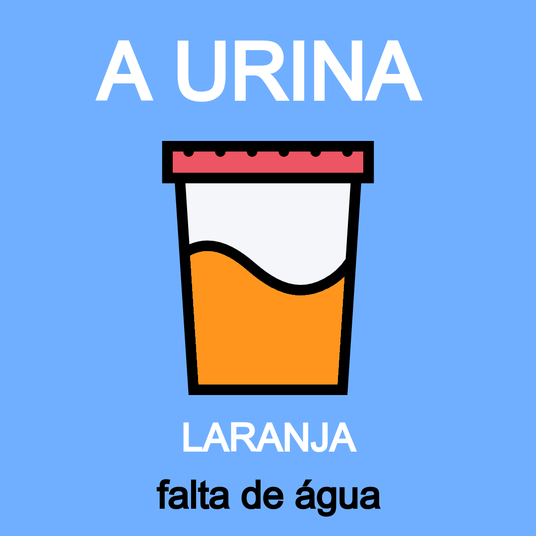 Porque Pyridium Deixa A Urina Laranja - RETOEDU