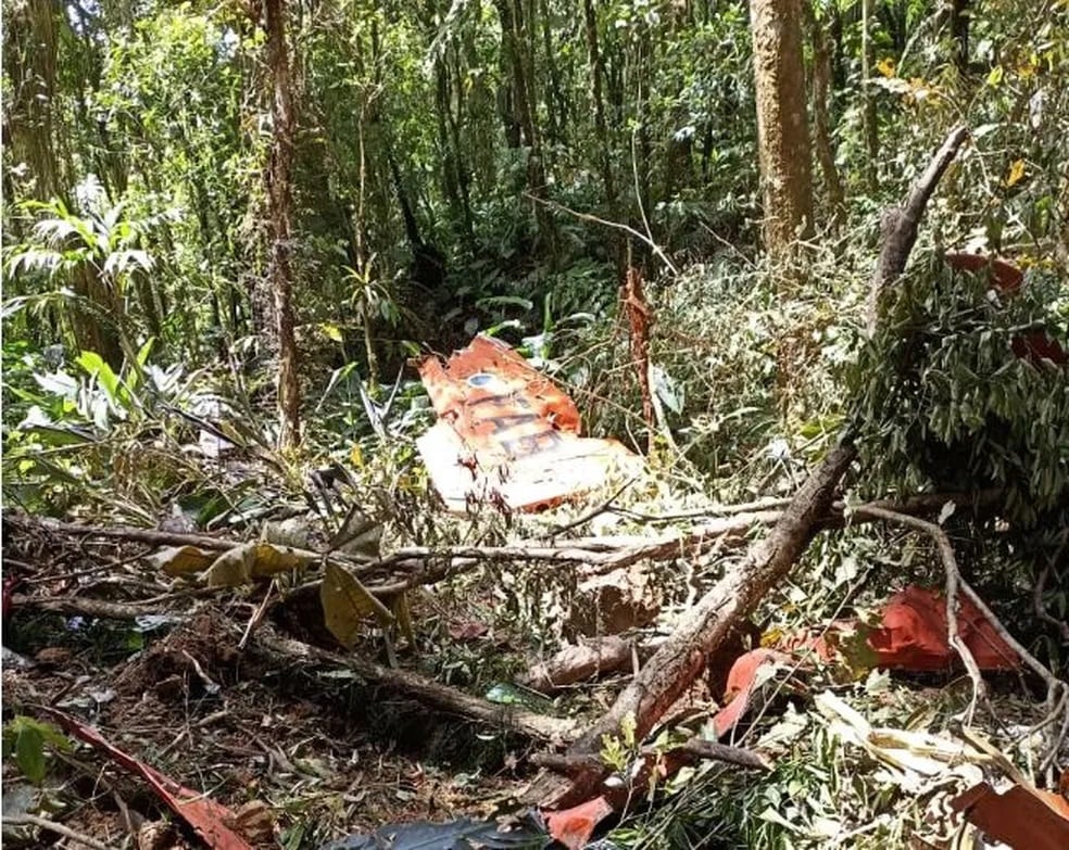 Avião da FAB foi encontrado destruído neste sábado — Foto: Prefeitura Canelinha/ Divulgação 