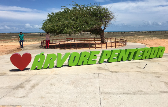 Luis Correia inaugura revitalização do entorno da Árvore Penteada no Piauí