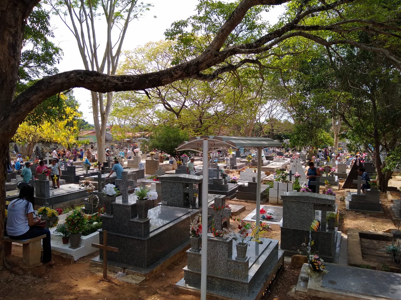 Janeiro teve o maior número de mortes no Piauí nos últimos três anos