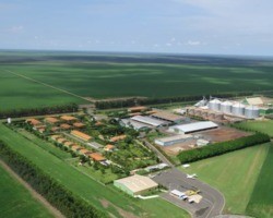 Abertura nacional da colheita de soja traz especialistas renomados ao Piauí