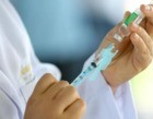 Covid: Piauí recebeu 190,6 mil doses de vacinas na 1ª quinzena de março