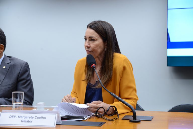 Margarete Coelho é relatora (Billy Boss/ Câmara dos Deputados)