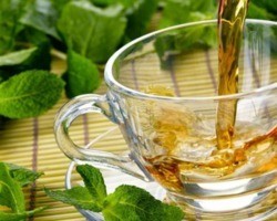 Descubra quais são os benefícios em tomar chá de boldo; vale a dica!