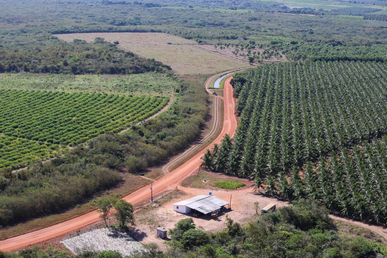 Perímetro Tabuleiros Litorâneos impacta economia na região norte do Piauí (Divulgação)