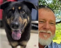 Cachorro abandonado nos EUA “por ser gay” é adotado por casal homossexual
