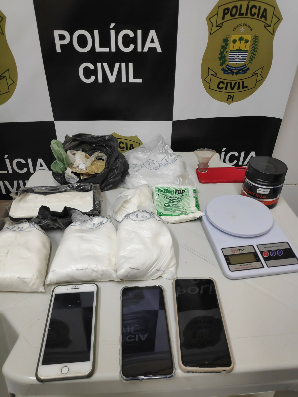 Polícia apreende cocaína avaliada em quase R$ 100 mil em operação no Piauí (Foto: Divulgação)