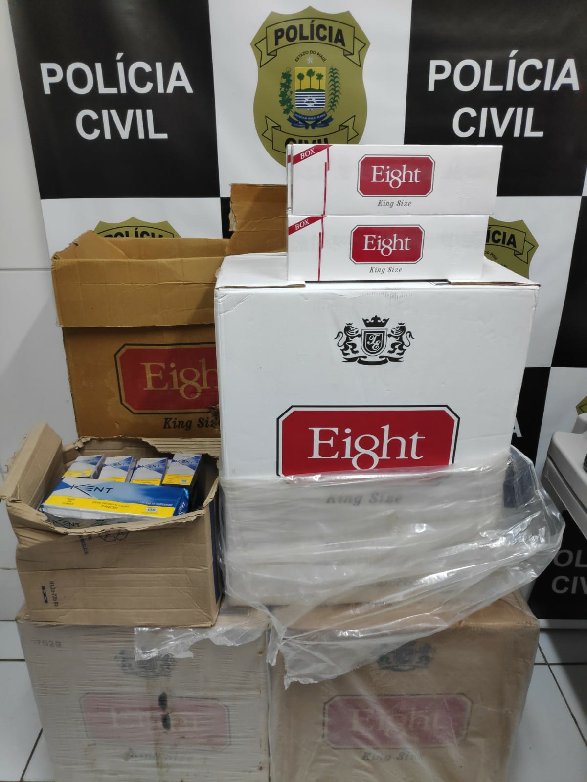 Polícia apreende cocaína avaliada em quase R$ 100 mil em operação no Piauí (Foto: Divulgação)