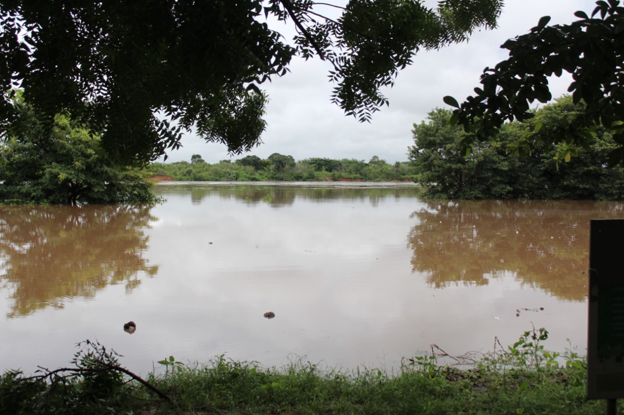 Nível do rio Poti, em Teresina, está elevado, mas dentro da normalidade, segundo CPRM | foto: Raíssa Morais