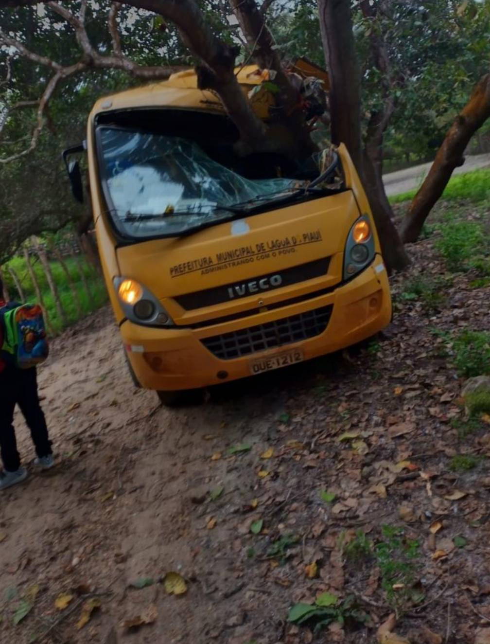 Ônibus escolar colide em árvore e deixa crianças feridas em Lagoa do Piauí (Foto: Reprodução/ WhatsApp)