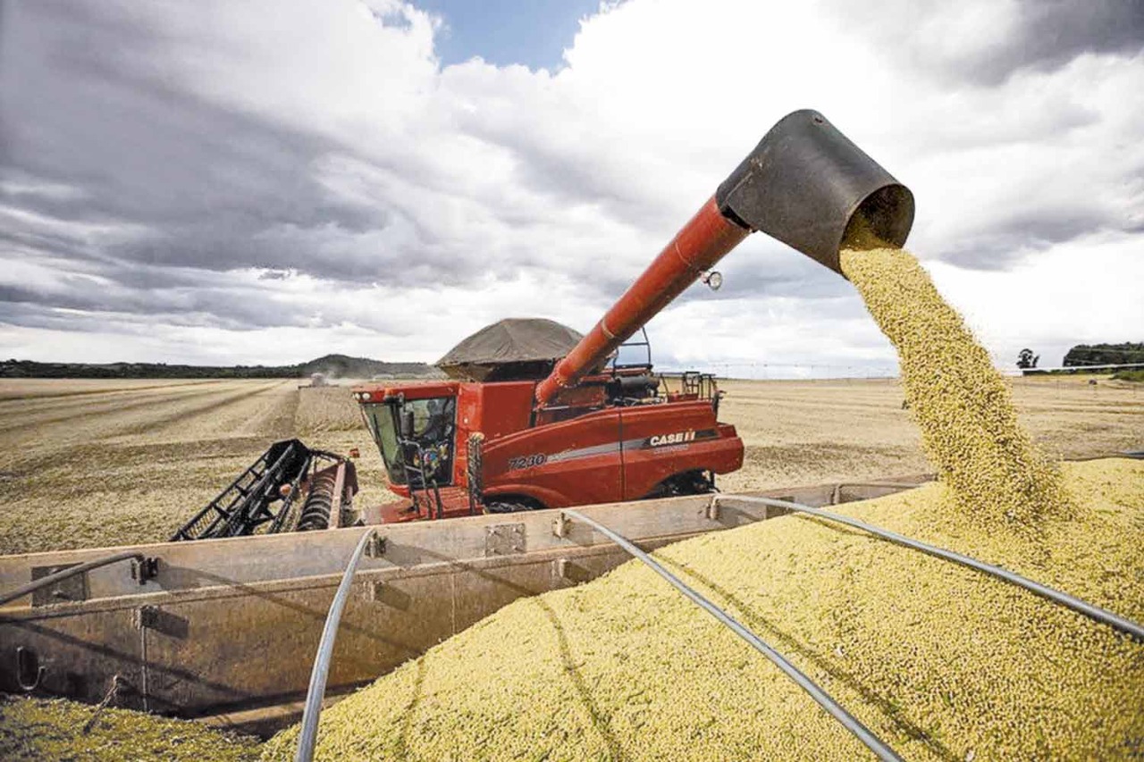 Mais de R$ 1,5 bilhão em crédito serão disponibilizados para fomentar o agronegócio no Piauí | FOTO: Divulgação
