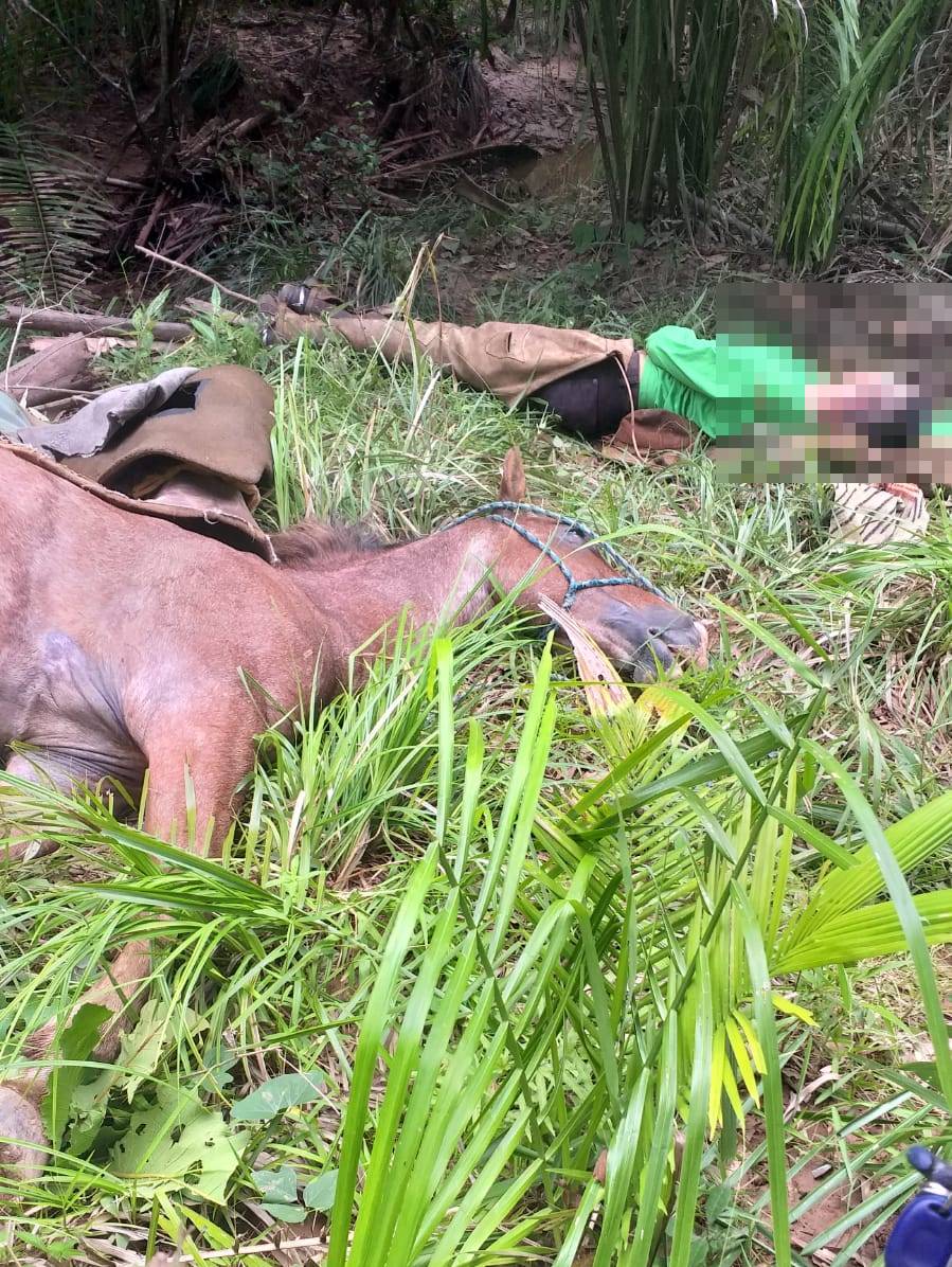 Vaqueiro de 22 anos e cavalo morrem eletrocutados na zona rural de Teresina (Foto: Reprodução/ WhatsApp)
