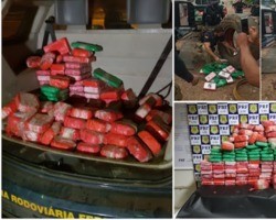 Casal é preso com 300 kg de cocaína avaliados em R$ 36 milhões no MA