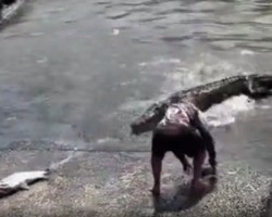 Homem se arrisca próximo de crocodilo para recuperar boné do filho