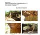 Prefeitura emite nota sobre ponte danificada em Monsenhor Gil