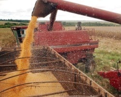 Produção de grãos pode chegar a 270,2 milhões de toneladas, projeta Conab
