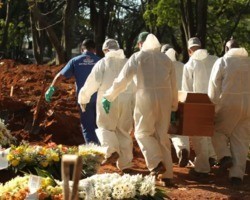Brasil registra 99 novas mortes por covid-19 em 24 h, segundo ministério 